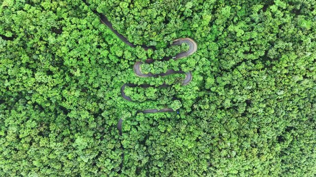 Hairpin bend road curving through dense green forest seen from above