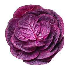 Obraz premium Fresh purple red cabbage isolated on transparent background for healthy food photography