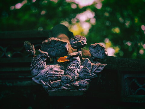 Chinese historic garden: Gu Yi Garden, Shanghai