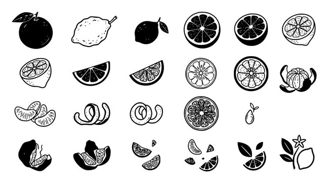 Minimal citrus fruit collection with orange lemon lime slices wedges and peel black vector illustrations