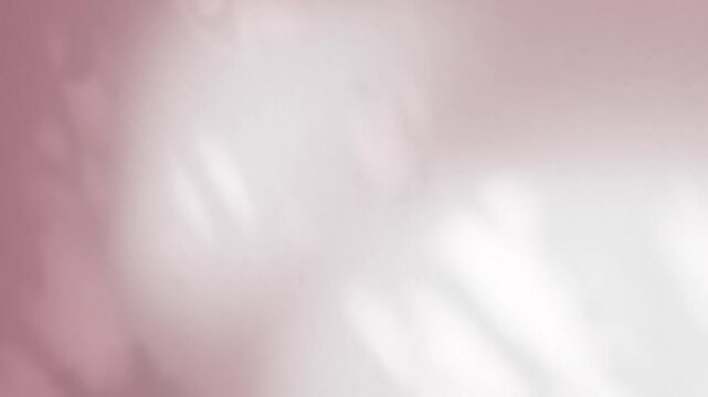 Abstract shadow pink premium gradation background texture blur gradient light pastel abstract luxury premium mockup peach color backdrop template valentine summer spring overlay mockup