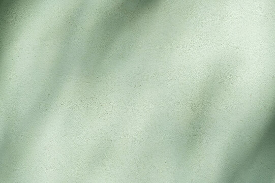 Light Mint Green Plaster Surface with Dappled Sunlight Shadows.