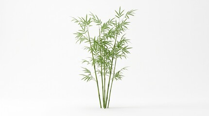 Fototapeta premium Green Bamboo Plant Illustration Isolated on White Background for Zen Decor and Nature Concept Design