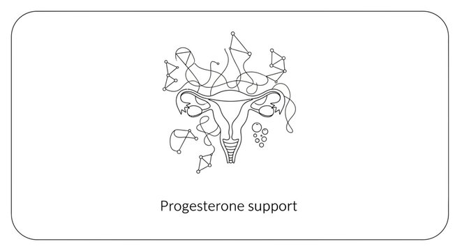 progesterone support, female reproductive system