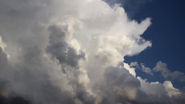 Billowing cumulonimbus clouds grow upwards against the deep blue sky. Time lapse.