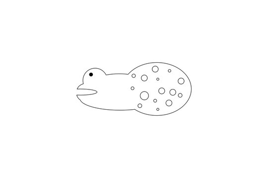 tadpole