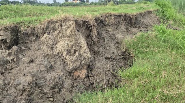 Agricultural Land Soil Erosion And Small Landslide Collapse Edge Close Up View