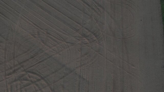 Young maize plants emerge in evenly spaced rows across cultivated soil in the Po Valley, Emilia Romagna, Italy, with visible tractor tire tracks creating patterns between the developing crop, top down
