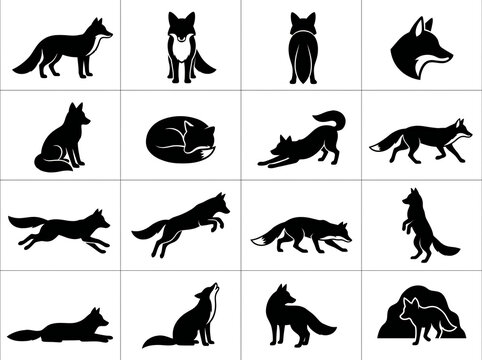 Fox silhouettes: various poses and actions of a wild fox