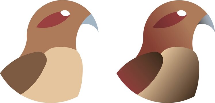 bird logo, animal logo, logo, illustration, minimalist design, icon, vector
