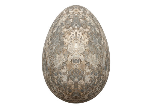 One speckled bird egg with brown spots and textured shell pattern isolated on transparent background