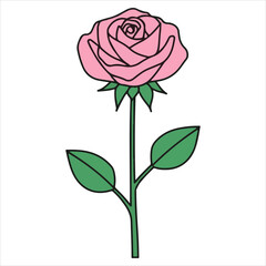 Obraz premium Pink Rose Flower Illustration Isolated on White Background
