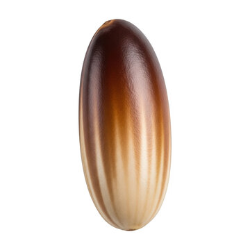 Single brown cockroach egg case isolated on a plain surface isolated on transparent background