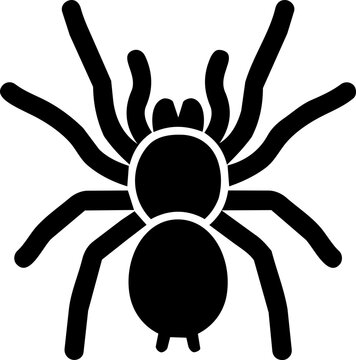 Tarantula Spider Icon