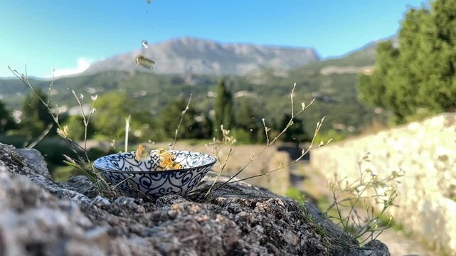 A tranquil mountainous area with trees and clear sky captured in a wide-angle shot from a high vantage point, showcasing rocky terrain and lush vegetation in vibrant green and blue hues.