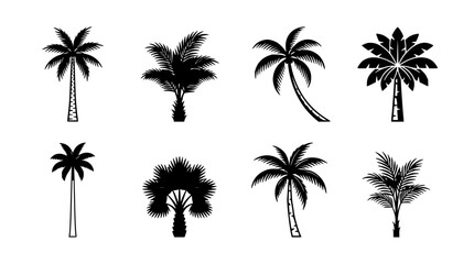 Fototapeta premium Palm tree set with tropical silhouettes featuring coconut, fronds, and trunks with sunset gradient and minimalist line art