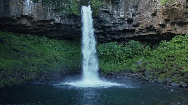 静岡県伊豆市の萬城の滝、緑豊かな森を流れ落ちる滝