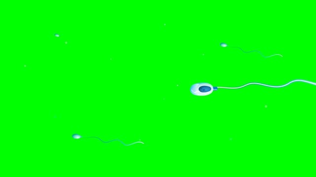 Sperm cells swimming on a vibrant green screen, microscopic view of human reproduction.