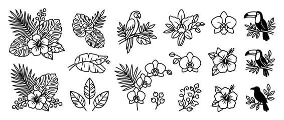 Obraz premium Tropical Flora and Fauna Line Art Collection