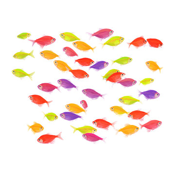 Colorful Glowfish School Vector Illustration on Isolated Background