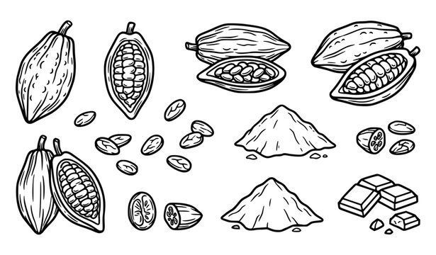 Cocoa and chocolate vector collection with cacao pods beans powder and chocolate pieces
