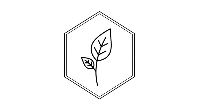 Minimalist leaf logo in hexagon shape