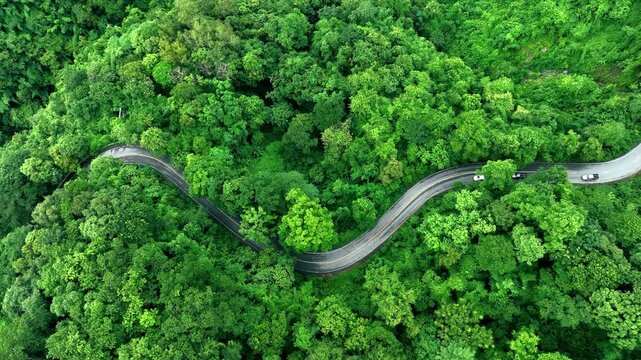 Aerial forest road with car creating abstract background for electric vehicle, ESG, sustainability and green investment business concepts.