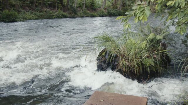 River Flowing in Kirinyaga, Kenya, Africa 4