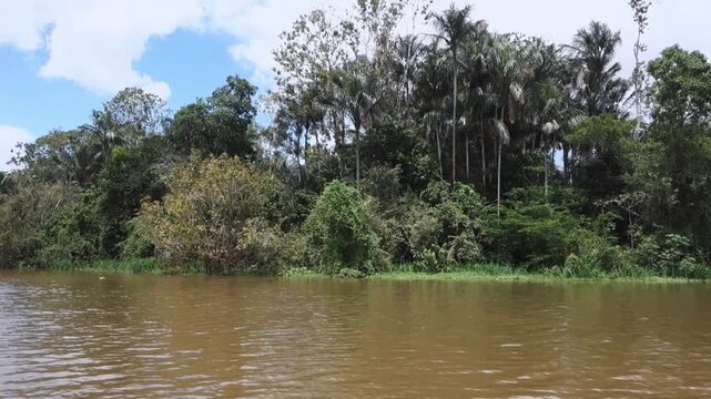 Indigenous riverbanks at flooded Amazon forest in Brazil