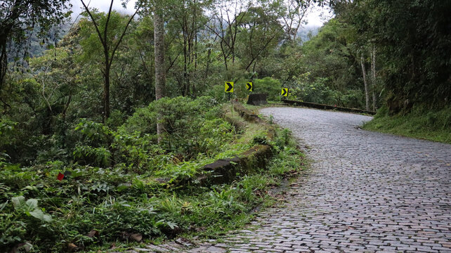 
Graciosa Road on a foggy day&mdash;a historic road in the Serra do Mar mountains of Paran&aacute; state, winding through the lush Atlantic Forest amidst flowering trees.