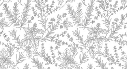 Fototapeta premium Herbal pattern on transparent background