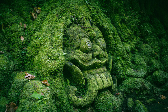 Ancient Goa Gajah stone carving of a demon face covered in vibrant green moss, symbolizing mystical legends and hidden history in Bali's tropical jungle