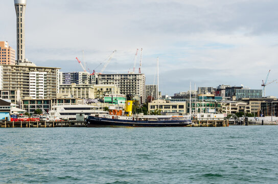 A calm harbour scene in Auckland, New Zealand, featuring a large vessel at the pier, modern high‑rise buildings, cranes, and the city&rsquo;s iconic observation tower rising above the waterfront