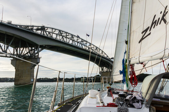 A sailboat from the Explore fleet glides beneath the Auckland Harbour Bridge