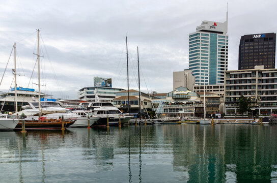 A busy marina in Auckland, New Zealand, with yachts docked along the waterfront and modern corporate towers rising behind them under an overcast sky