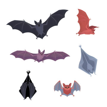 Assorted flying bats in silhouette against a transparent background during twilight