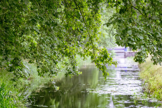 Unter dem Bl&auml;tterdach wird aus einem gew&ouml;hnlichen Spaziergang pl&ouml;tzlich eine kleine Reise: Wasser kr&auml;uselt sich leise, Zweige h&auml;ngen wie ein gr&uuml;ner Vorhang &uuml;ber den Weg und irgendwo dahinter wartet be