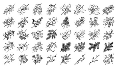 Fototapeta premium Tree branches, leaf foliage, blooming sprigs, and fruit stems line art vector icons set isolated on white background