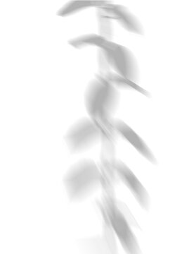 Hanging Vine Leaf Shadow Overlay Vertical Nature Effect