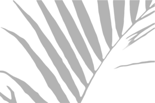 Diagonal Palm Stripe Shadow Overlay Vertical Effect