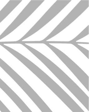 Palm Stripe Pattern Shadow Overlay Vertical Effect