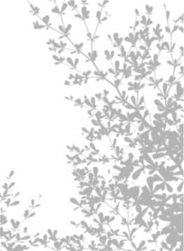 Dense Leaf Texture Shadow Overlay Wide Nature Effect