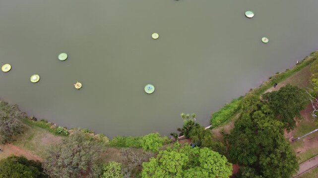 Drone footage Aerial view Ibirapuera Park (Parque Ibirapuera) in S&atilde;o Paulo | Brasil