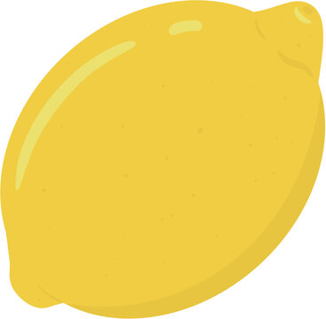 vector illustration of lemon