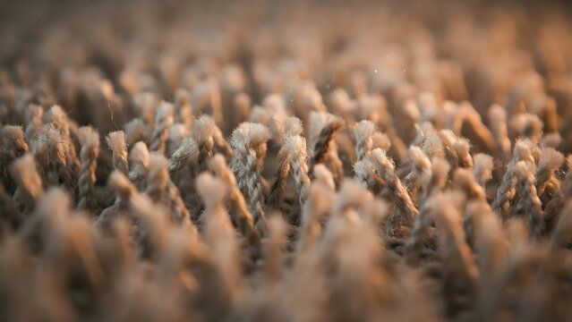 Textured Rope Surface with Soft Fibers in Warm Natural Light