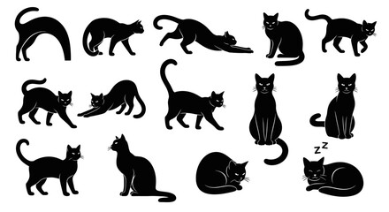 Obraz premium Black cat silhouettes collection, 14 feline vector icons in various poses, minimalist kitten shapes for Halloween and pet branding