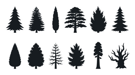 Obraz premium Set of various tree silhouettes, coniferous and deciduous forest plants, old oak and pine trees