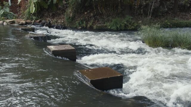 River Flowing in Kirinyaga, Kenya, Africa 2