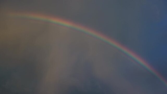 Handheld footage captures a vibrant rainbow arching through moody sunset clouds as a single bird glides in the foreground, creating a tranquil and ethereal US sky scene.