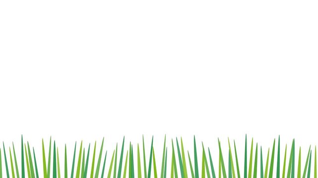 Fresh green grass border illustration isolated on white background, spring nature design element